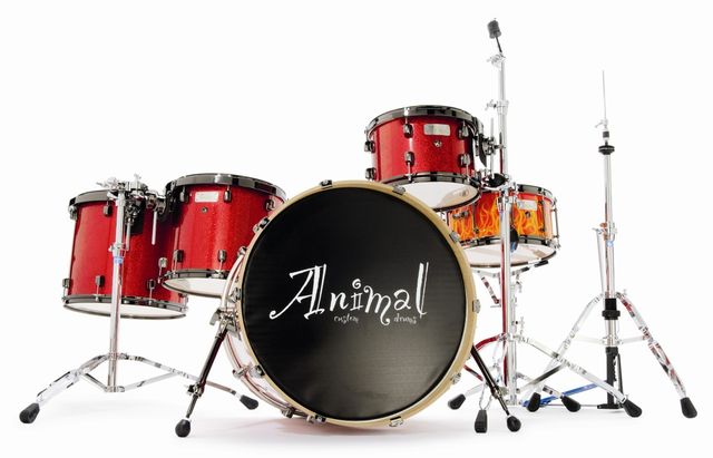 blank The thin shell bass drum has depth and darkness of tone.